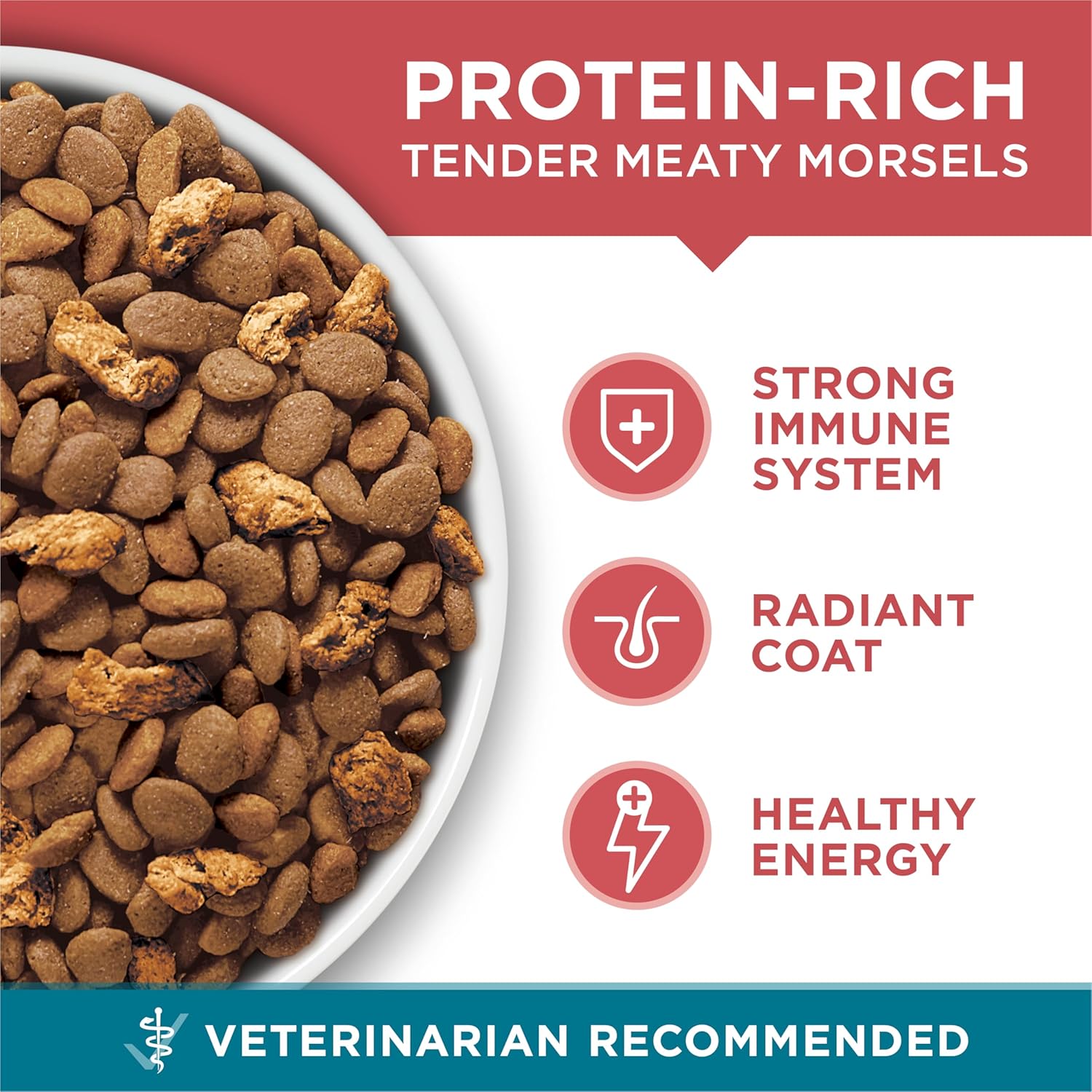 Purina ONE Natural Dry Cat Food Tender Selects Blend with Real Salmon 7 lb. bag, showing the cat food bag with salmon flavor and branding.
