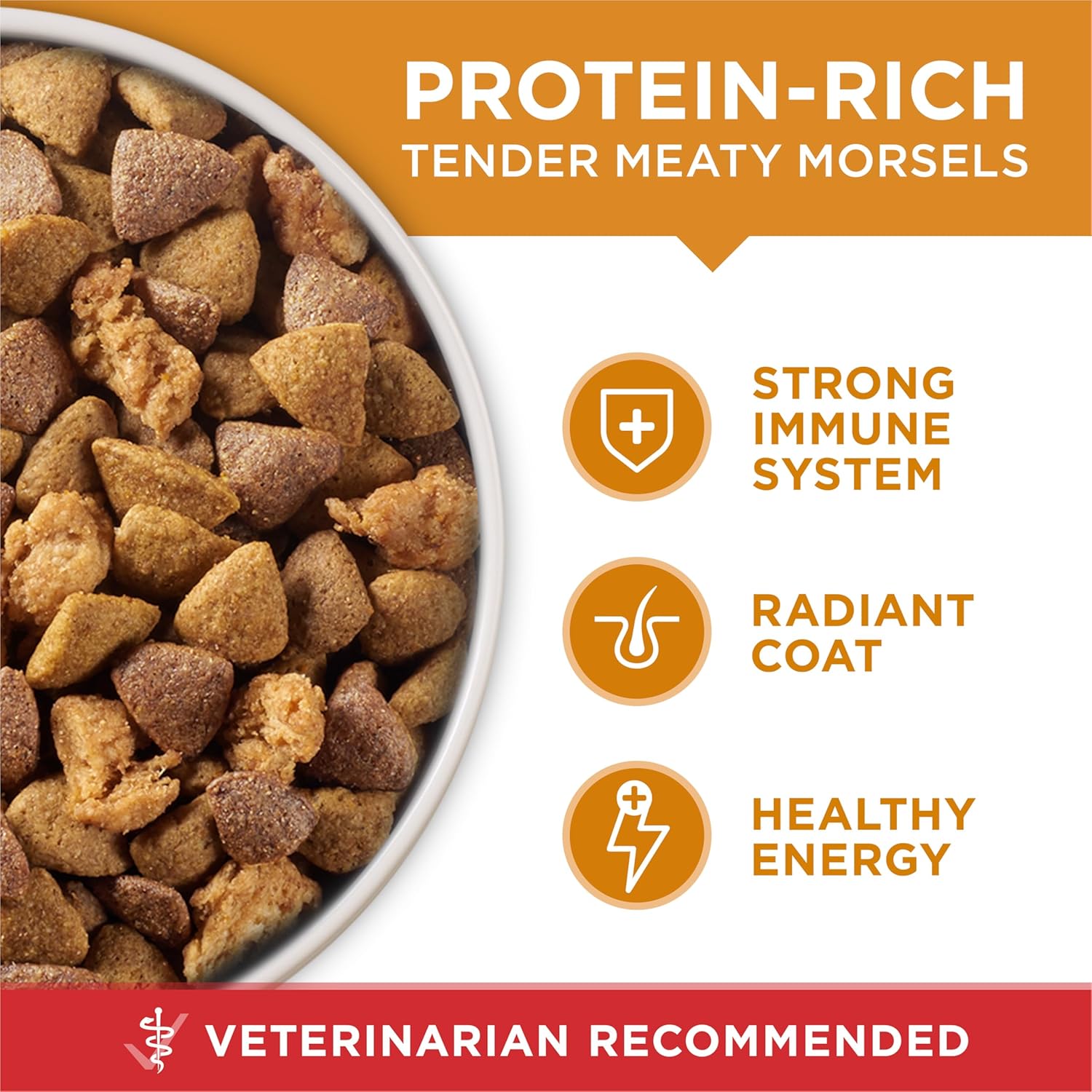 Dry dog food bag from Purina ONE featuring chicken and rice formula, 31.1 lb. bag for nutritious canine diet.