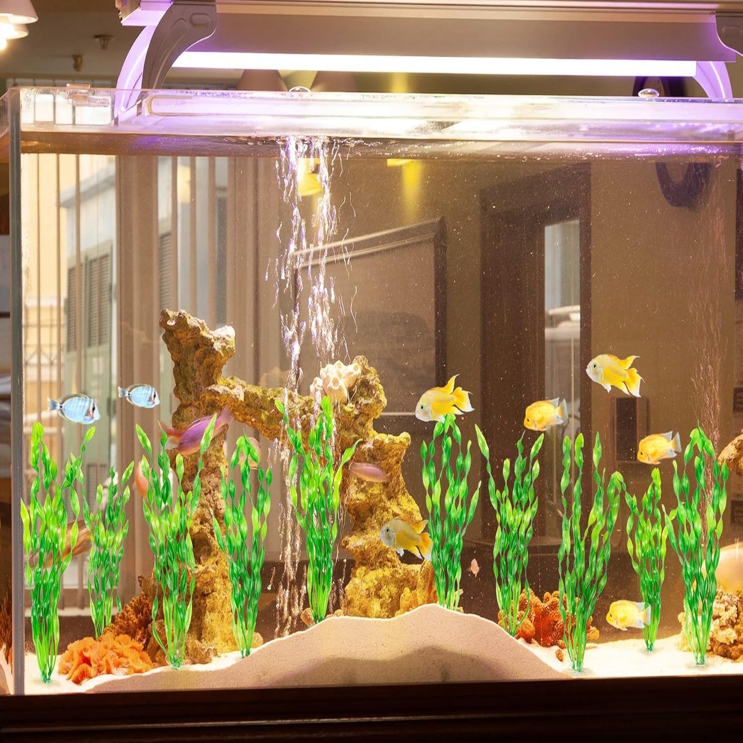 MyLifeUNIT artificial seaweed water plant for aquariums, plastic fish tank plant with green seaweed-like appearance