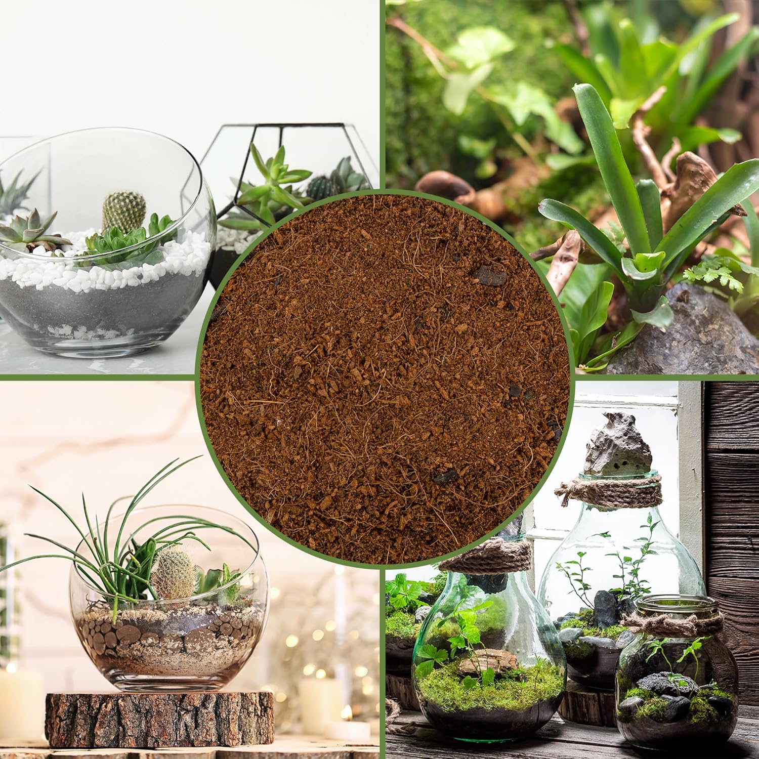 Soil Sunrise terrarium potting soil mix in a 4-quart bag, blended filtering for healthy plant growth in indoor terrariums.