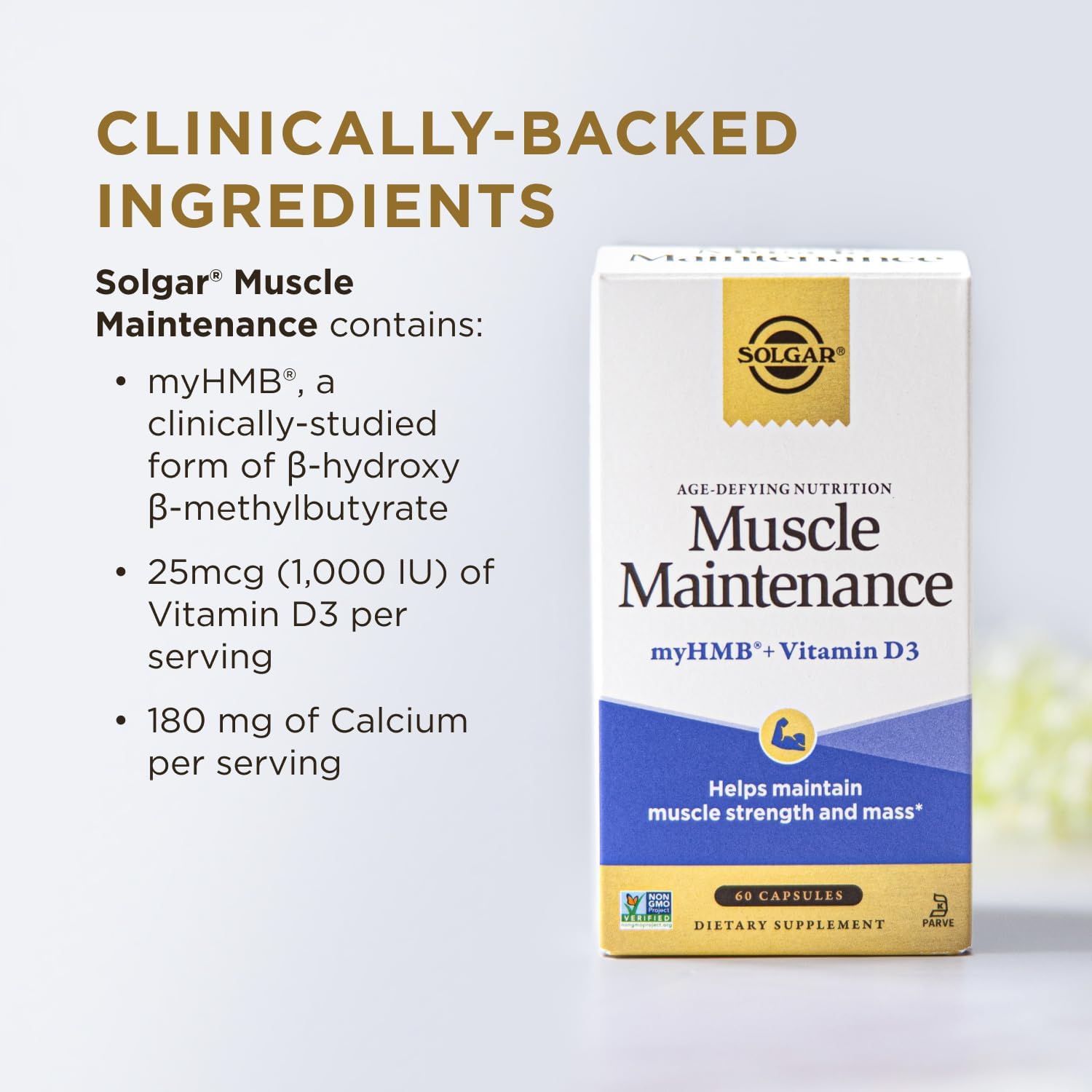 Solgar Muscle Maintenance Vitamin and Mineral Supplement, Support Musclel