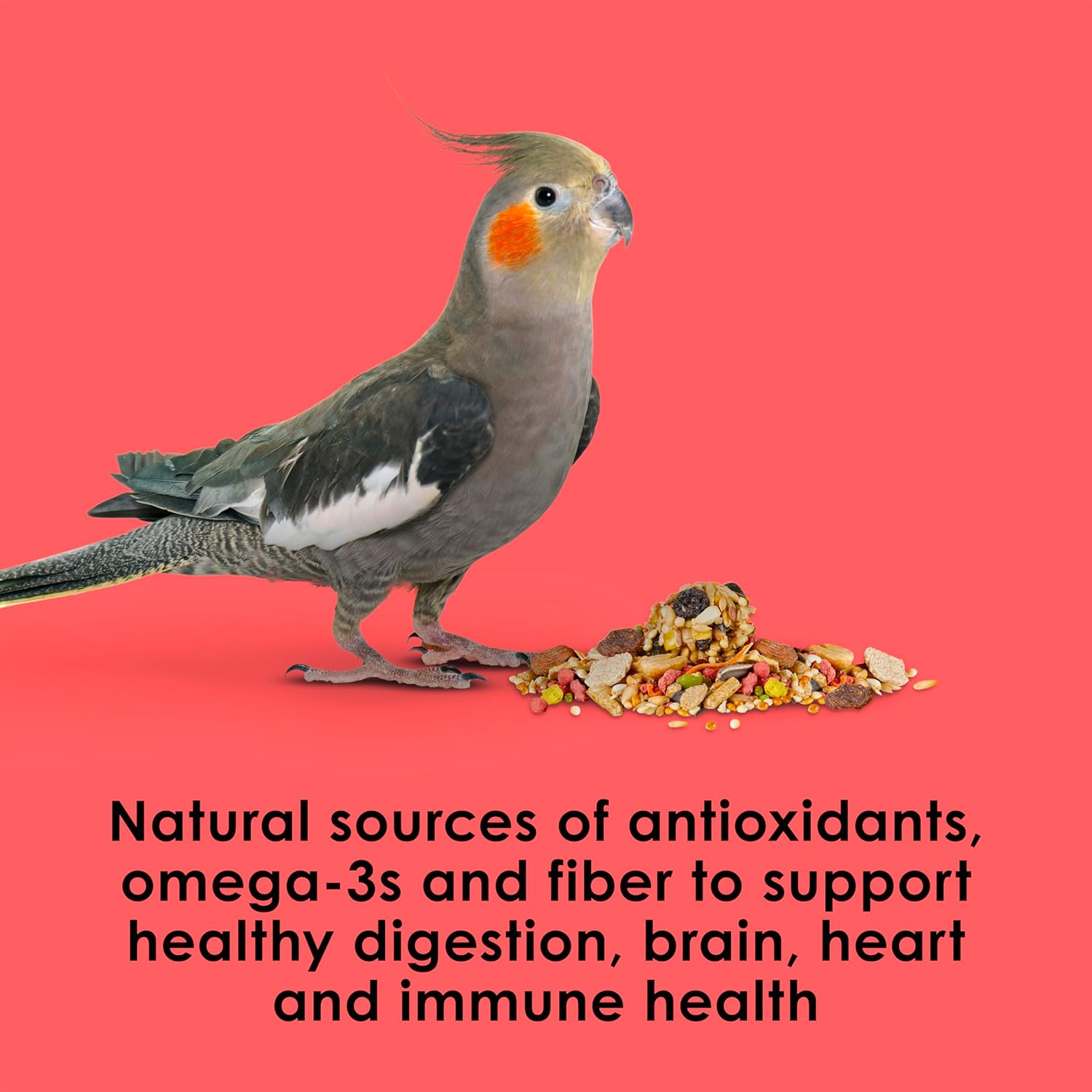 Kaytee Fiesta cockatiel food mix with colorful seeds and grains, designed to support skin and feather health for pet birds.