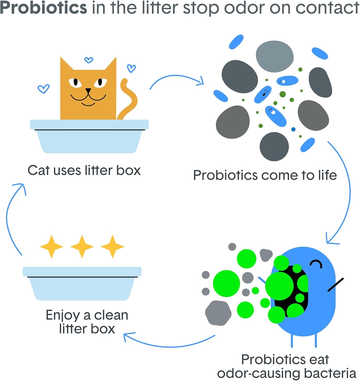 BoxiePro probiotic cat litter in 16 lb bag, odor control, clumping clay, dust-free, fragrance-free, and filler-free for clean litter boxes.