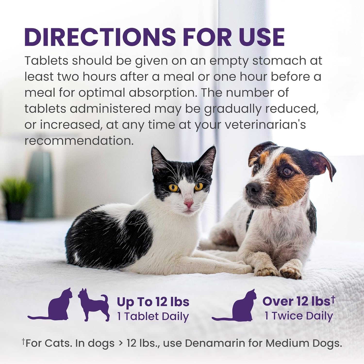 Nutramax Laboratories Denamarin liver health supplement for small dogs and cats, featuring the supplement bottle with label visible