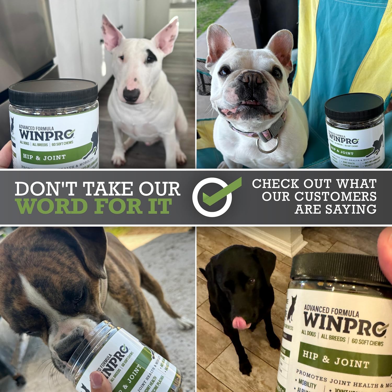 WINPRO Hip & Joint Supplement for Dogs plasma-powered soft chews showing the dog-friendly soft treat package.