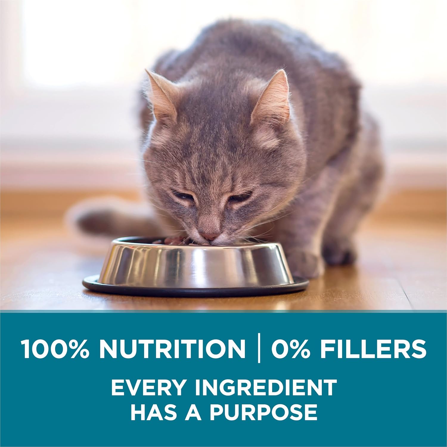 Purina ONE Natural Dry Cat Food Tender Selects Blend with real salmon in a 7 lb. bag, showing the bag's front label.