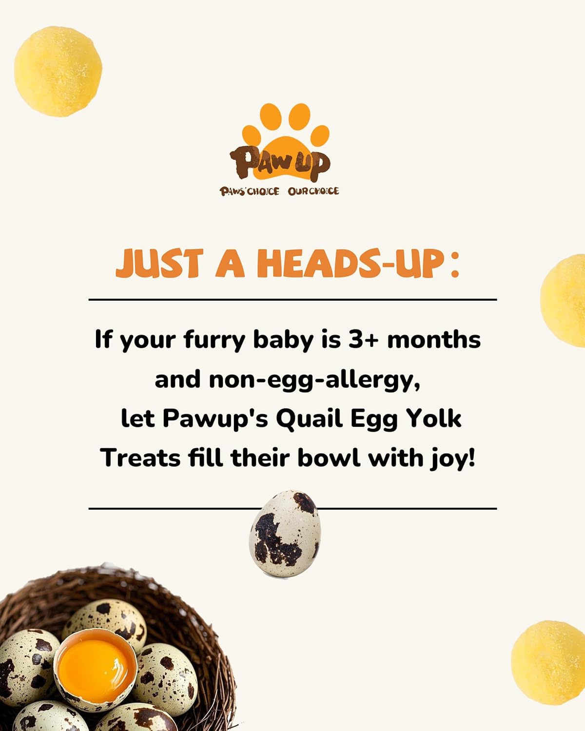 PAWUP freeze-dried quail egg yolk pet treats for dogs and cats in a 4.2 oz package, rawhide-free and natural.