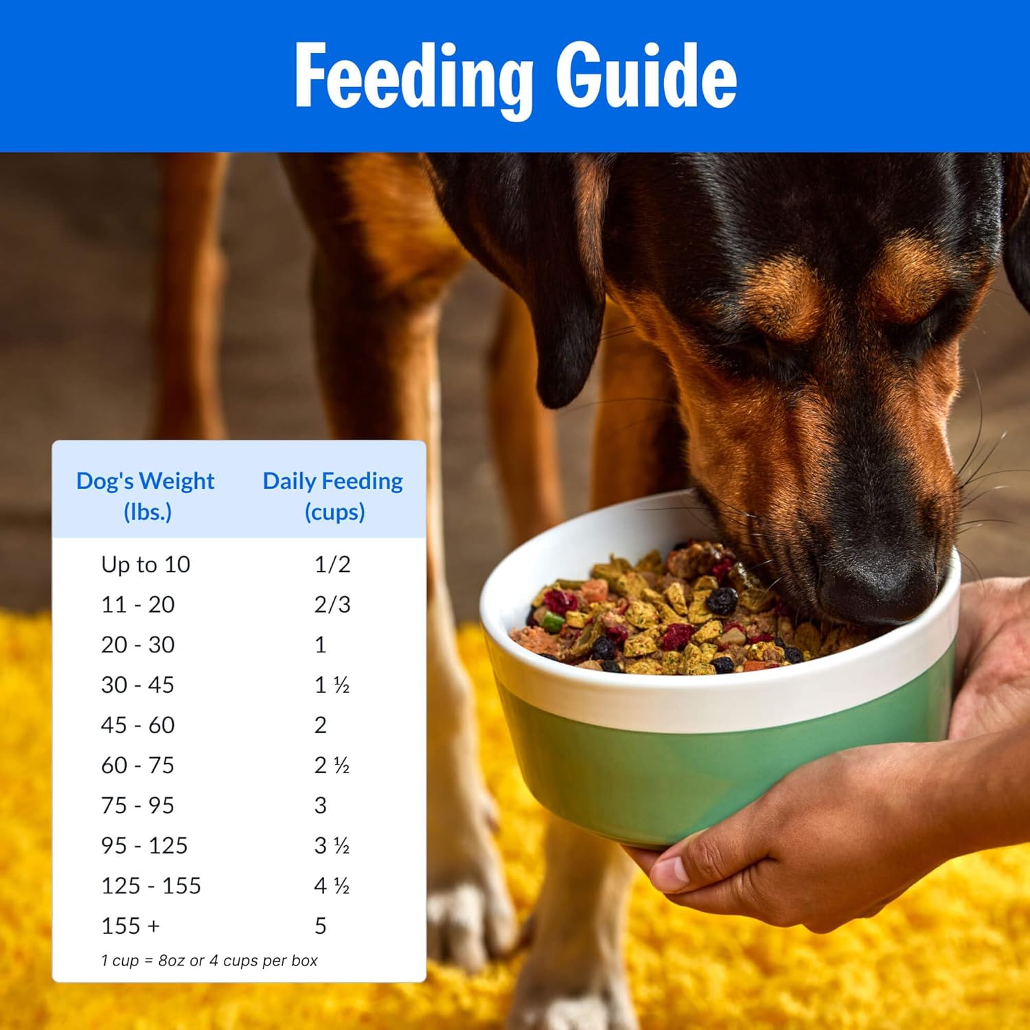 Elefair PetPlate Roost Rulin' Chicken dry dog food, gently baked and air-dried, human-grade dog food with chicken flavor.