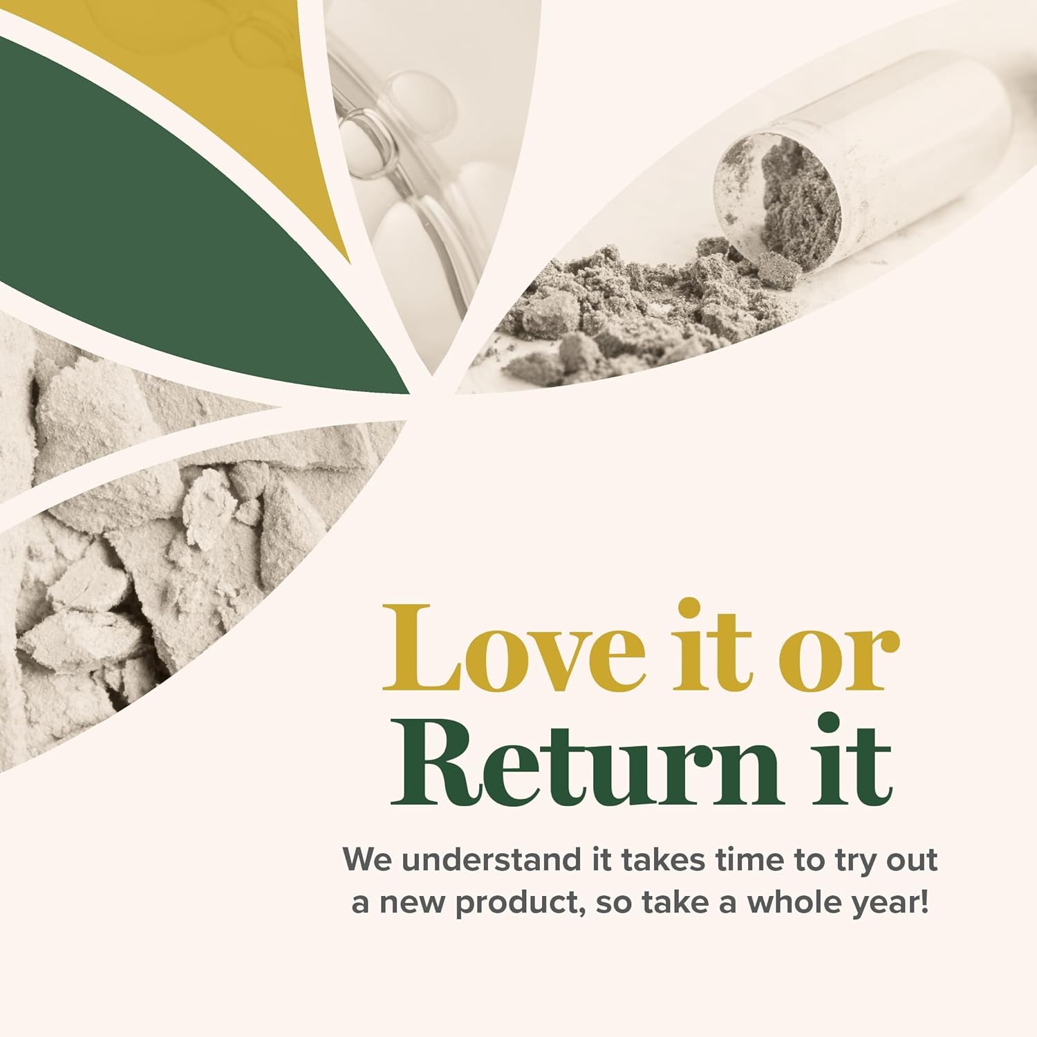 Global Healing USDA Organic Kidney Health with Cranberry & Hydrangea