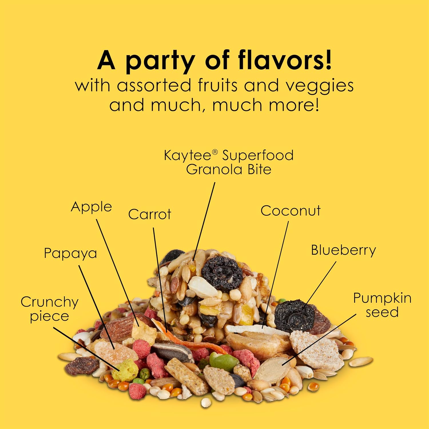 Kaytee Fiesta Cockatiel Food blend with seeds and grains, supporting skin and feather health in a colorful bird food package.