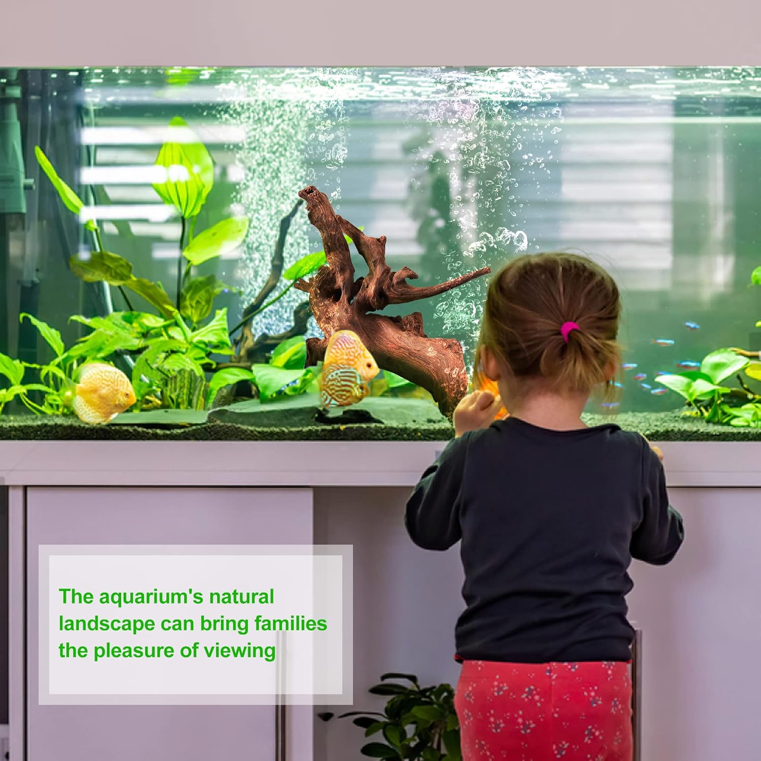 Child looking at fish in an aquarium with a natural landscape