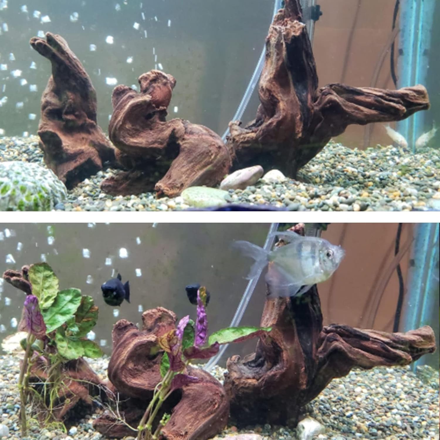 Hamiledyi aquarium driftwood 3-piece set with natural trunk and branches, 8-12 inches, ideal for freshwater fish tanks.
