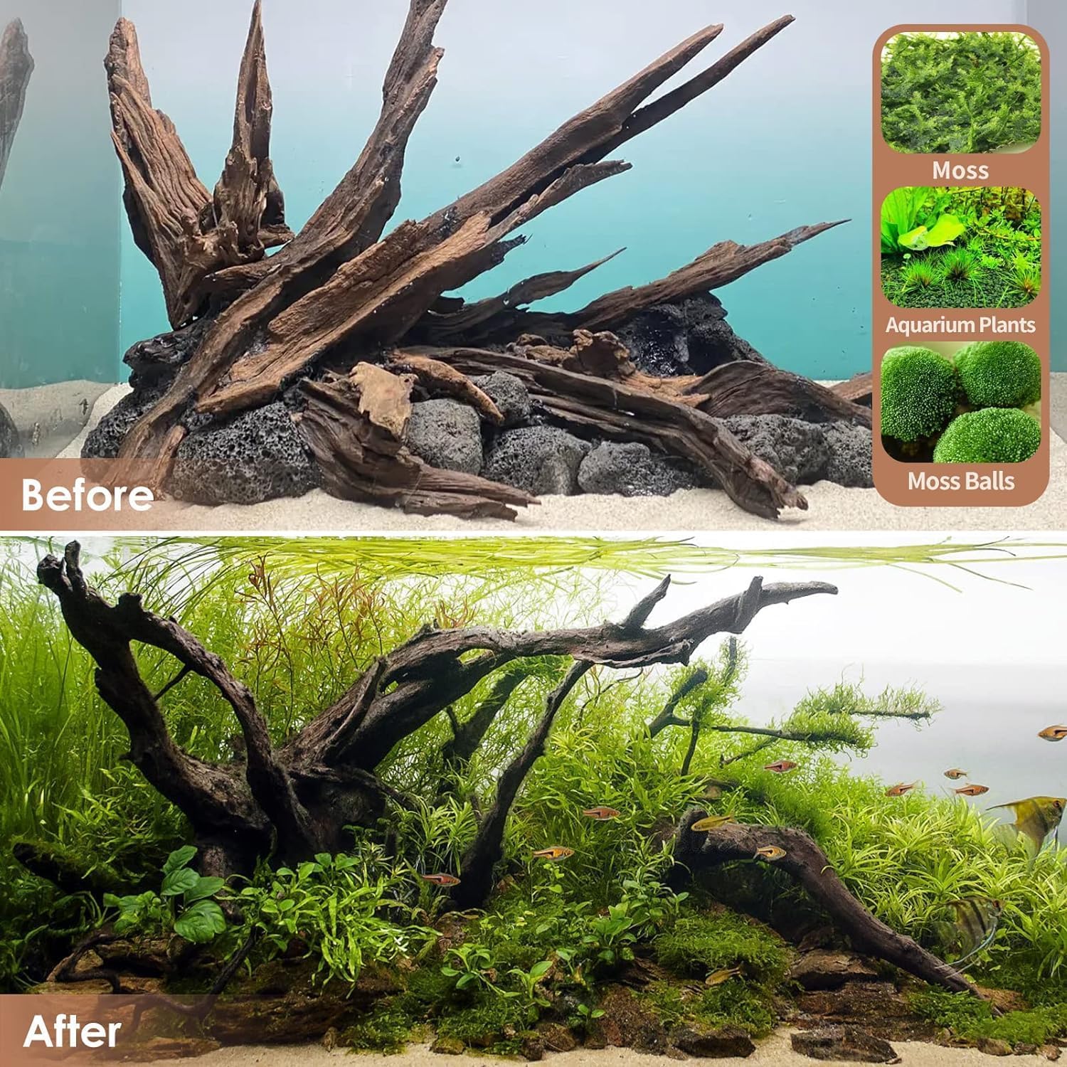 Jorewood natural large aquarium driftwood for fish tanks and reptile terrariums, showcasing twisted, textured wood piece with aquatic plants