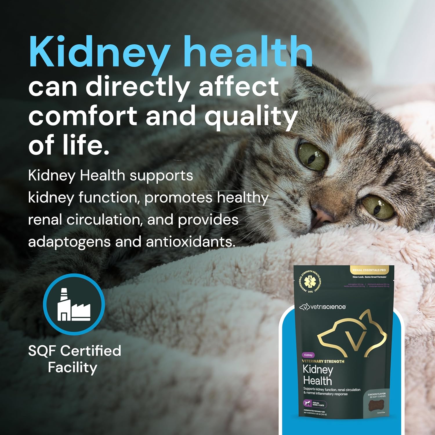 Vetriscience Veterinary Strength Kidney Health Chews for pets, featuring balanced formula in a resealable bag.