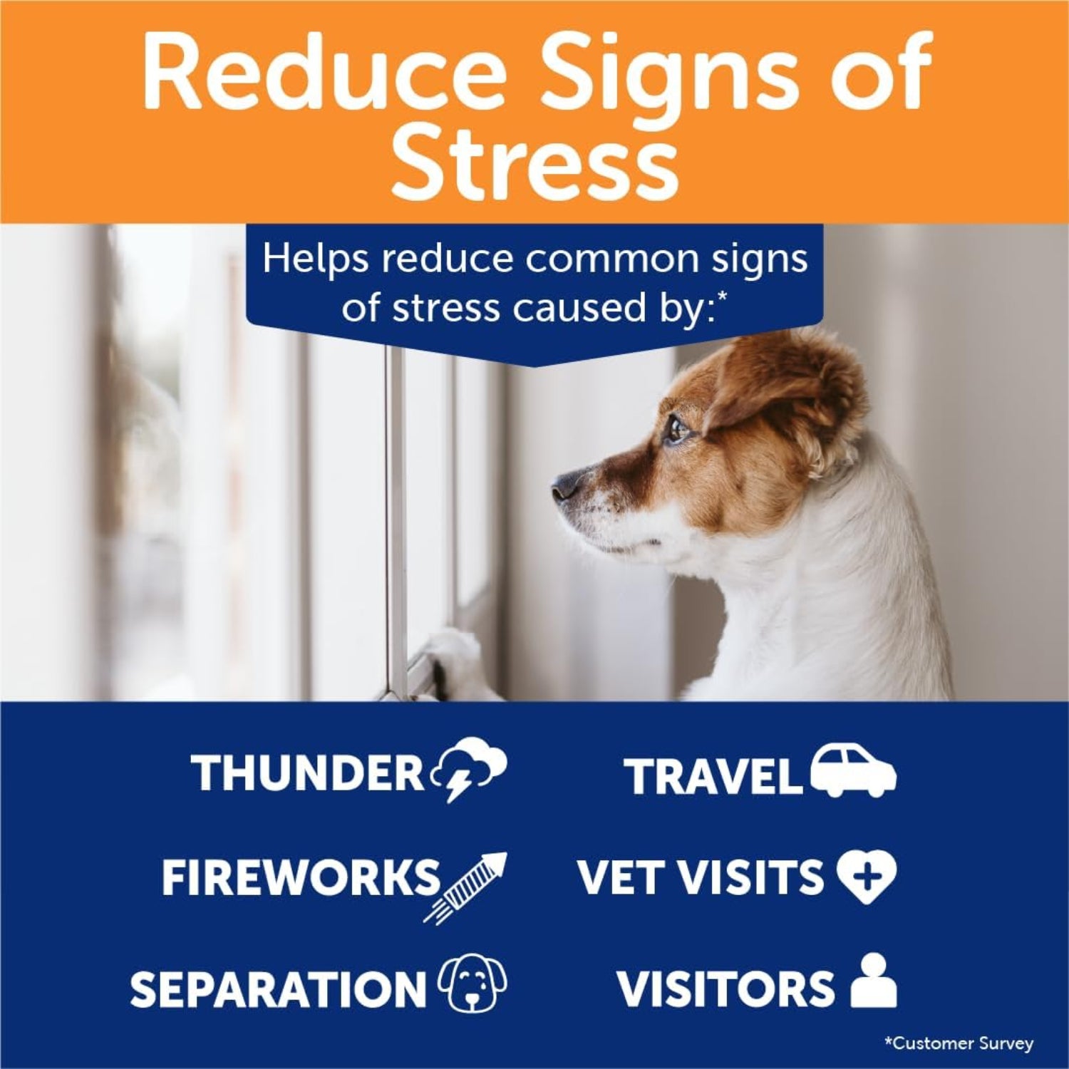 ThunderWunders Hemp Dog Calming Chews by ThunderBites, vet recommended, featuring calming ingredients for dogs facing stressful situations.