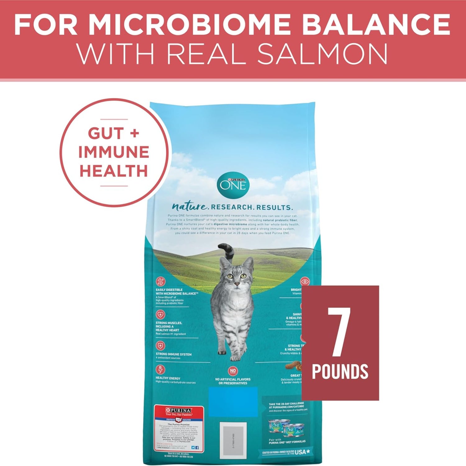 Purina ONE Natural Dry Cat Food Tender Selects Blend with Real Salmon in a 7 lb. bag, showing the kibble and packaging.