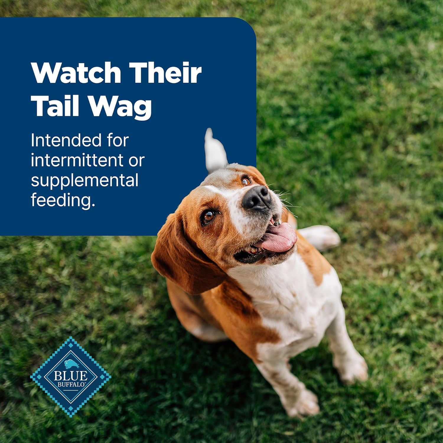Blue Buffalo Nudges Jerky Cuts dog treats in a package, made in the USA with natural ingredients, suitable for dog training and snacks.
