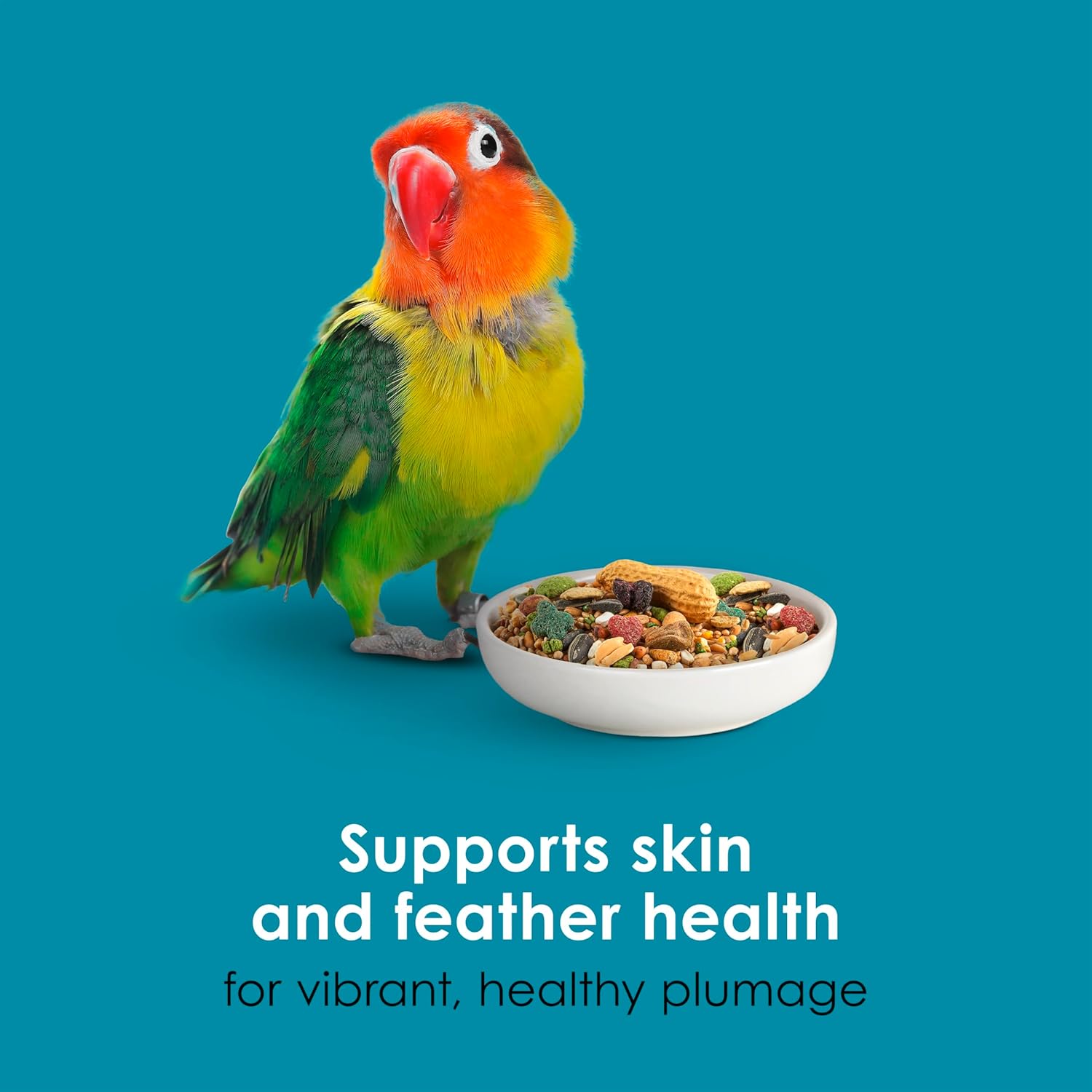 Kaytee Forti-Diet Pro Health Nourish+Protect bird food for conures and lovebirds in a colorful bag showing the food mixture inside.