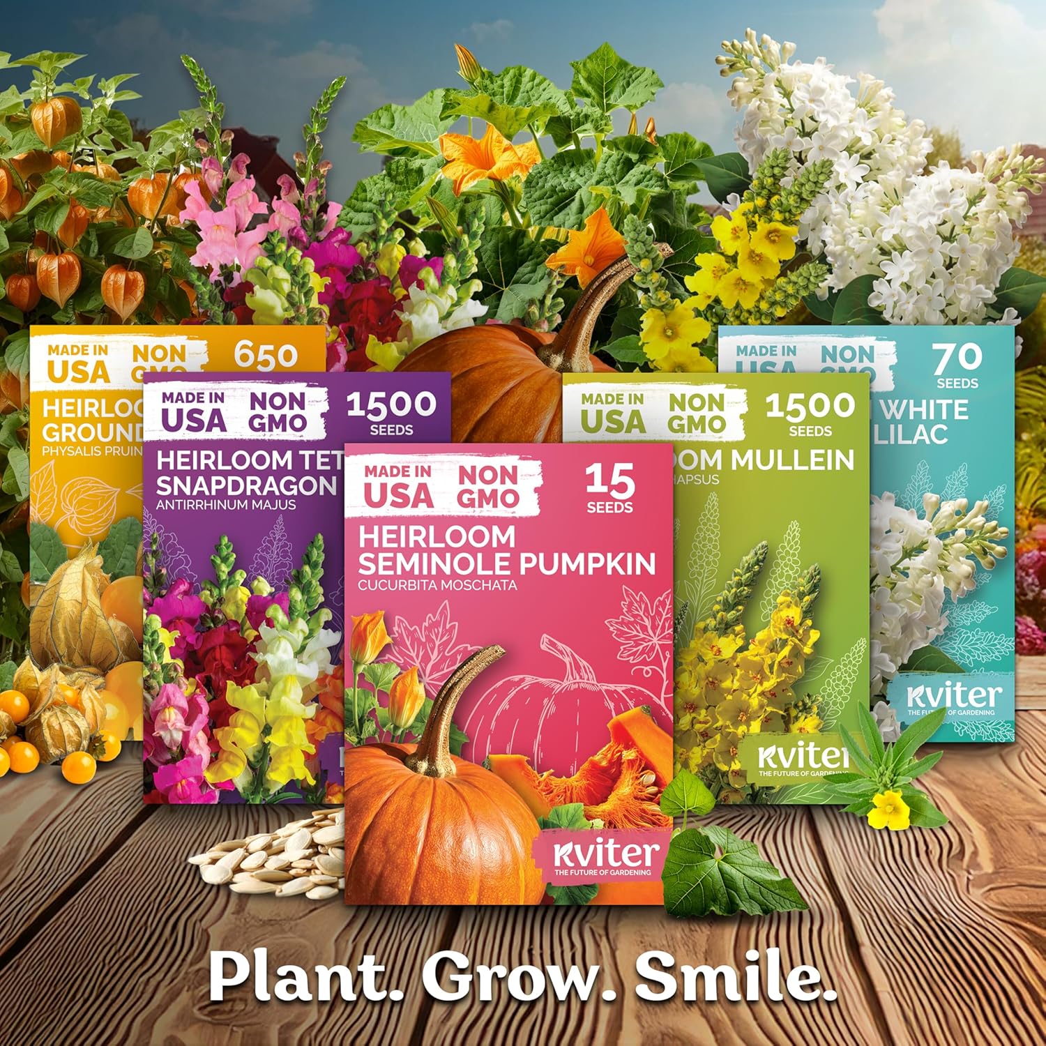 KVITER 500 Dwarf Mix Cockscomb Seeds for Planting Celosia argentea