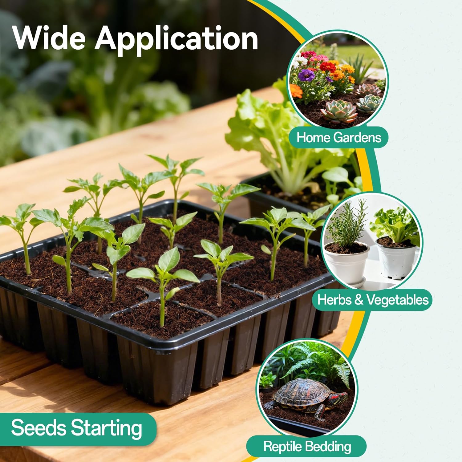 ZeeDix 200pcs 30mm coco coir pellets for potting soil, ideal for indoor plants, shown in a container with soil and plants.