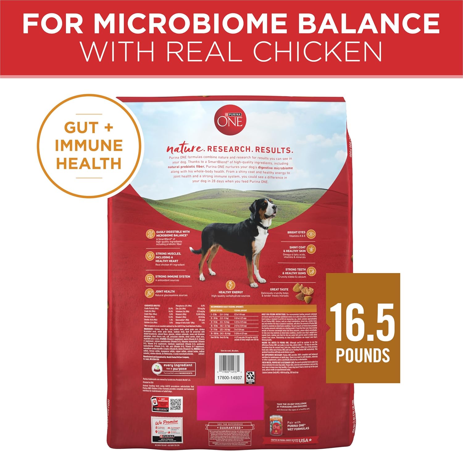 Purina ONE Chicken and Rice Formula dry dog food bag, 16.5 lb, with kibble showing chicken and rice ingredients.