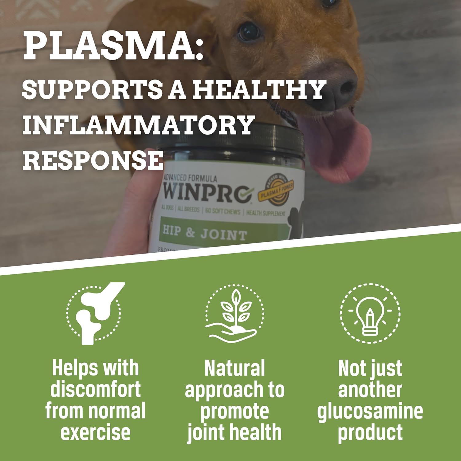 WINPRO Hip and Joint Supplement for Dogs, plasma-powered soft chews with natural ingredients for joint support and mobility.