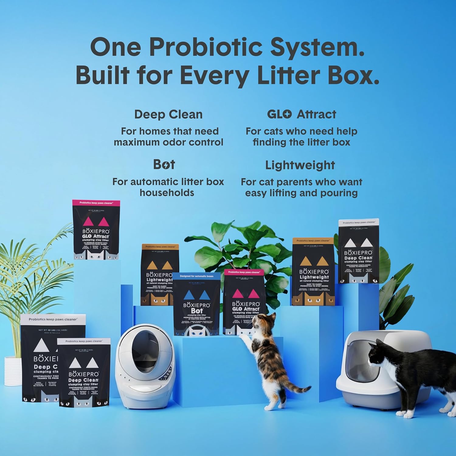 BoxiePro probiotic cat litter, 16 lb, dust-free clumping clay with odor control, odor-eliminating probiotics, no fragrances or fillers.