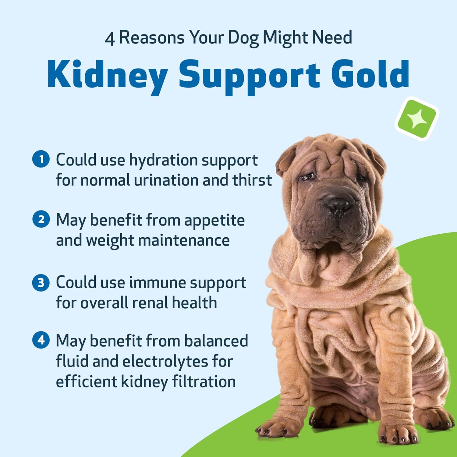 Pet Wellbeing Kidney Support Gold for Dogs - Supports Healthy
