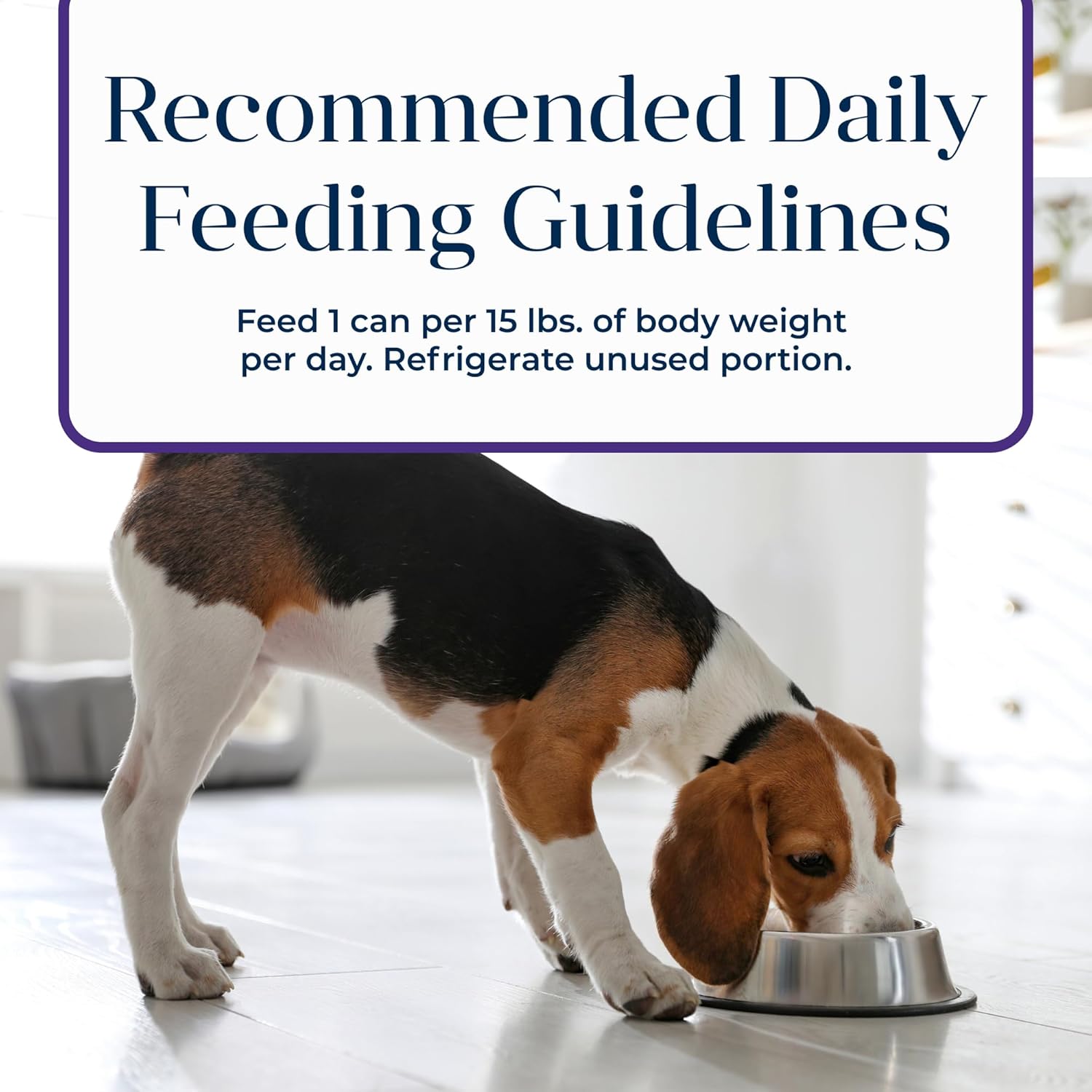 Blue Buffalo Basics Grain-Free Senior Wet Dog Food with skin and stomach care, featuring tender chunks in gravy for older dogs.