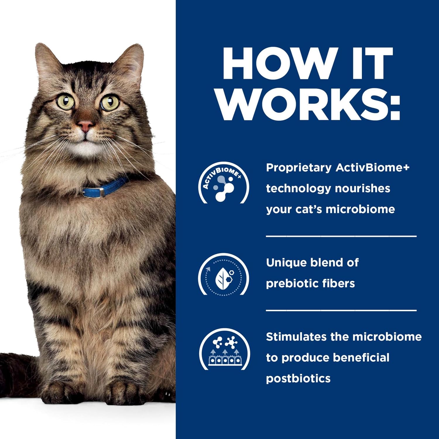 Hill's Prescription Diet Gastrointestinal Biome Stress Digestive and Fiber pet food bag with label and product packaging.