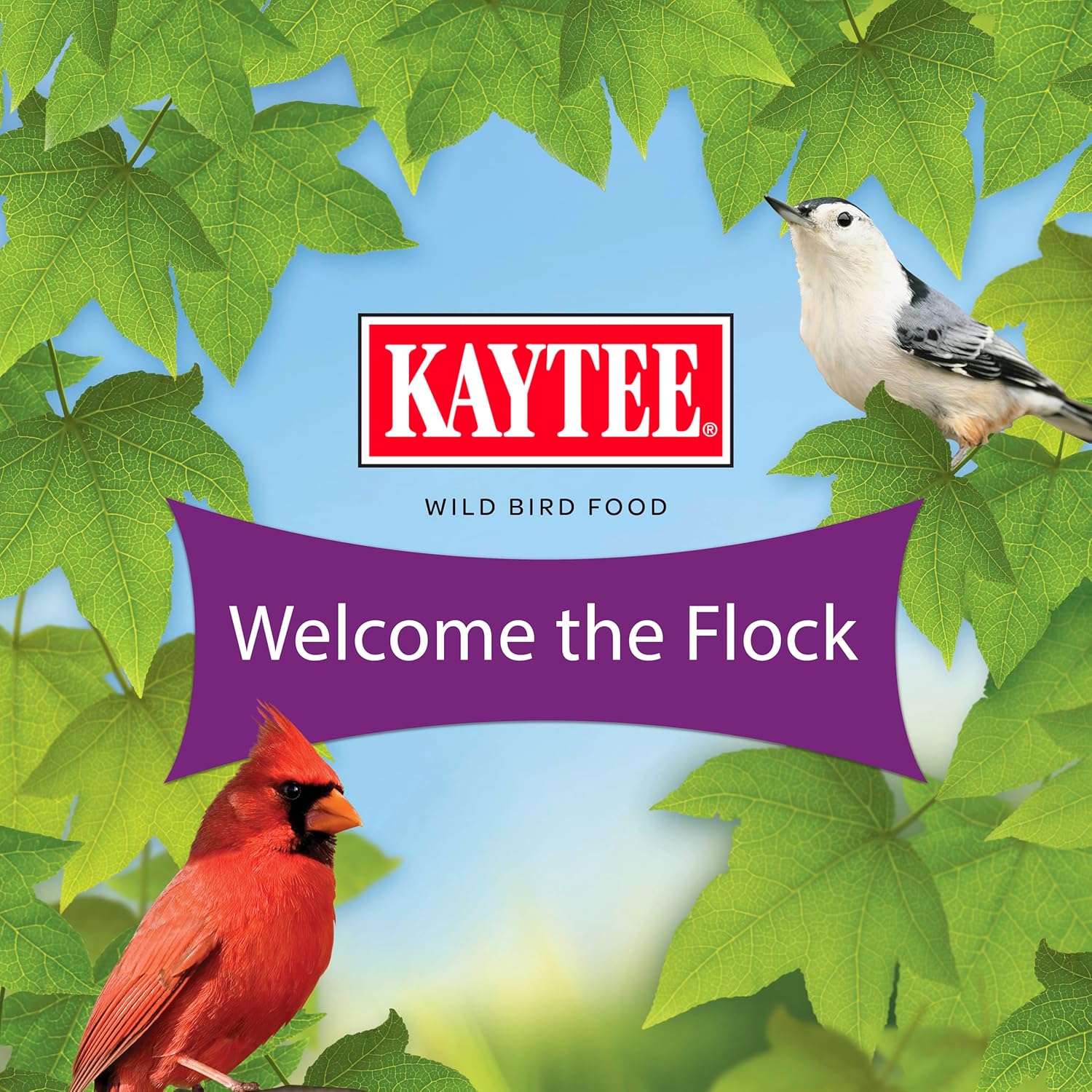 Kaytee Nut & Fruit Wild Bird Seed 5 lb bag with mixed nuts, dried fruits, and seeds for wild bird feeding.