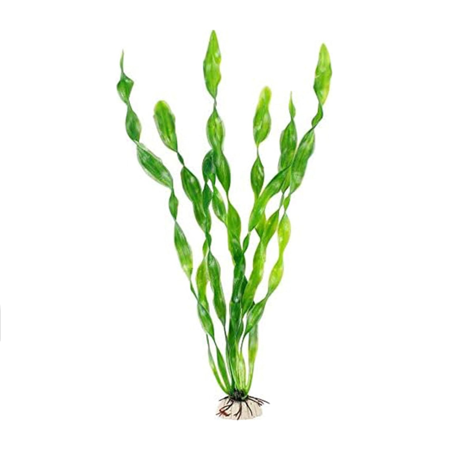 MyLifeUNIT artificial seaweed water plant for aquarium, plastic fish tank plant with green seaweed-like foliage in a clear container