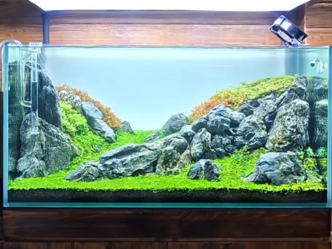 Natural Seiryu stones by ChaoLeHo, aquascaping rocks for aquariums, showcasing textured, blue-gray stones suitable for aquatic landscapes.