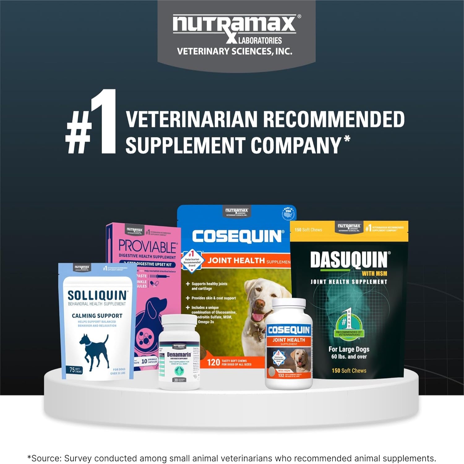 Nutramax Dasuquin joint health supplement for small to medium dogs, featuring chews with glucosamine and chondroitin for mobility.