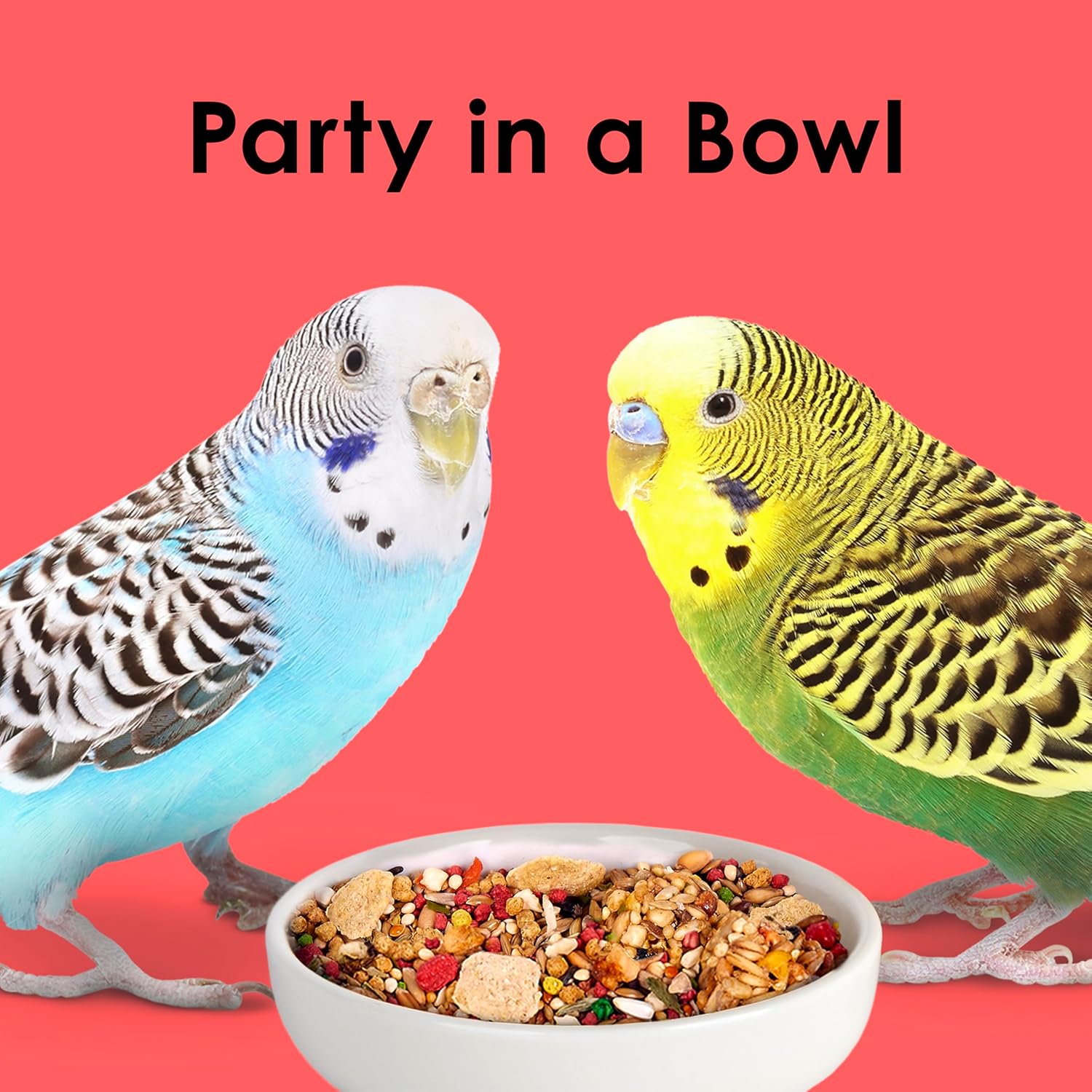 Kaytee Fiesta parakeet food blend with seeds and grains, supporting healthy skin and feathers in a colorful bird food package.