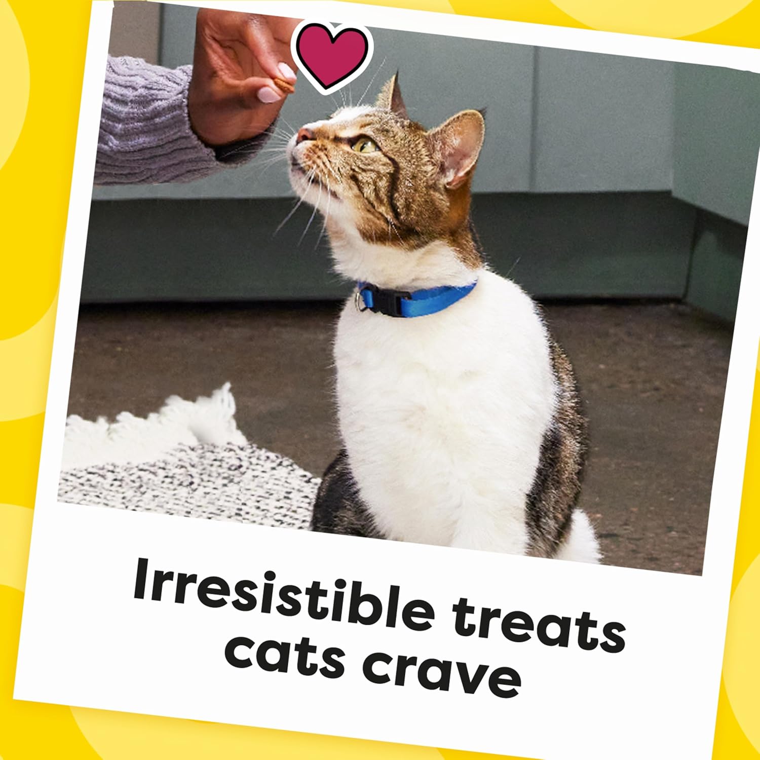 Temptations cat treats tub with classic crunchy and soft chicken-flavored treats, 30 oz. tub, showing the treats inside