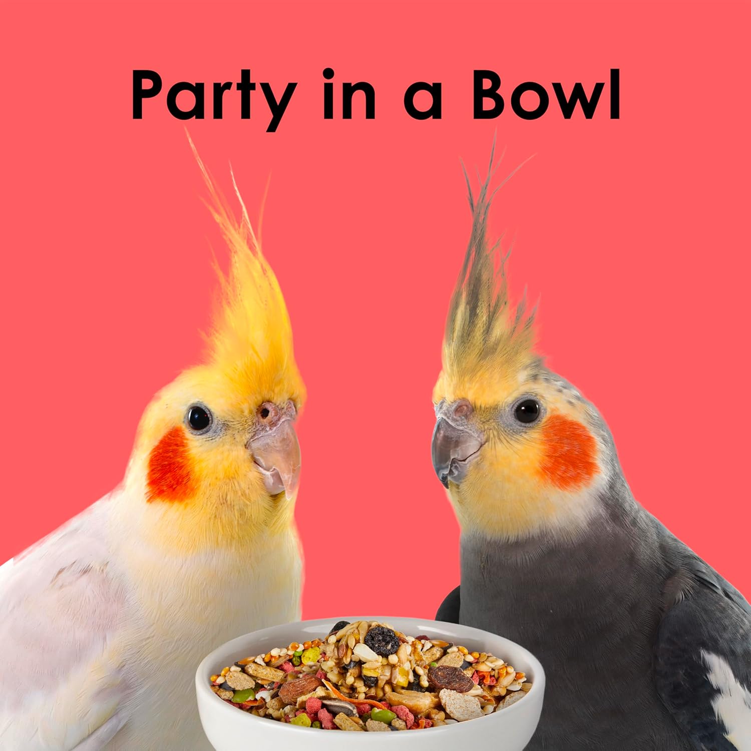 Kaytee Fiesta Cockatiel Food blend with seeds and grains, supporting skin and feather health for pet cockatiels.