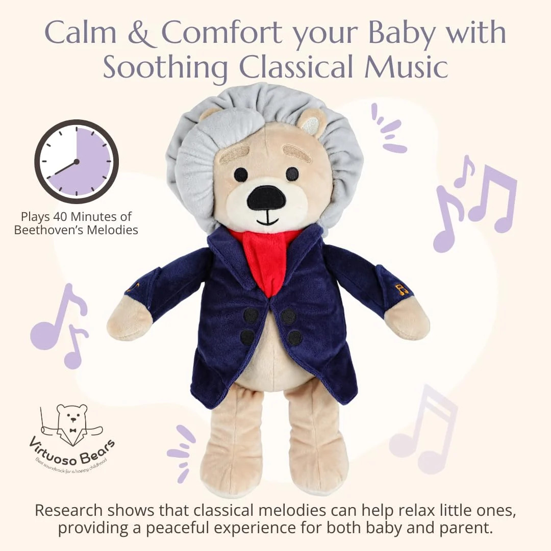 Ludwig Van Beethoven Virtuoso Bear Plays 40 Mins of