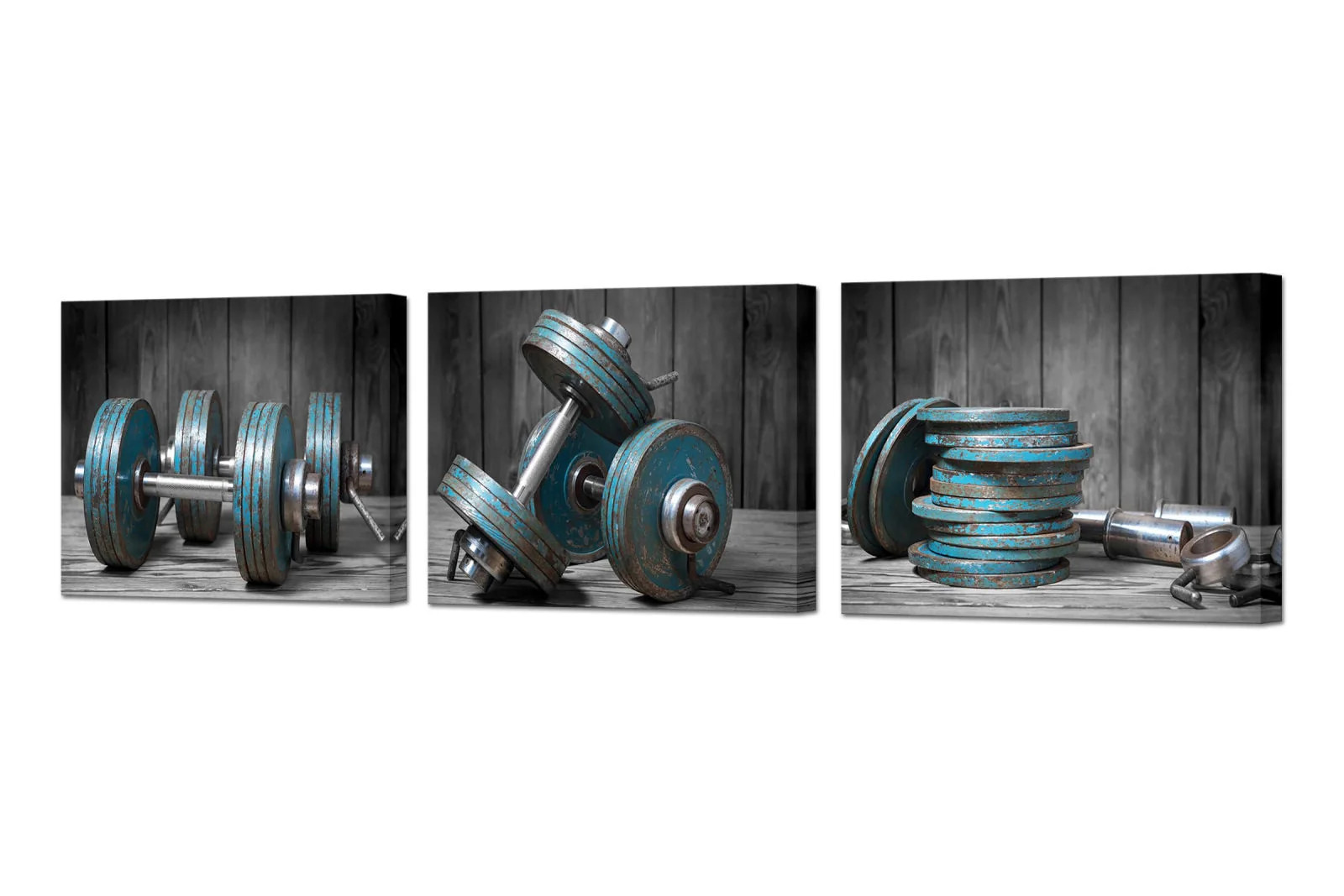Artmyharbor 3 Pieces Dumbbell Canvas Wall Art