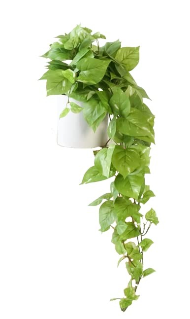 Retrograde 32 Fake Plant Silk Faux Pothos Ivy Plant