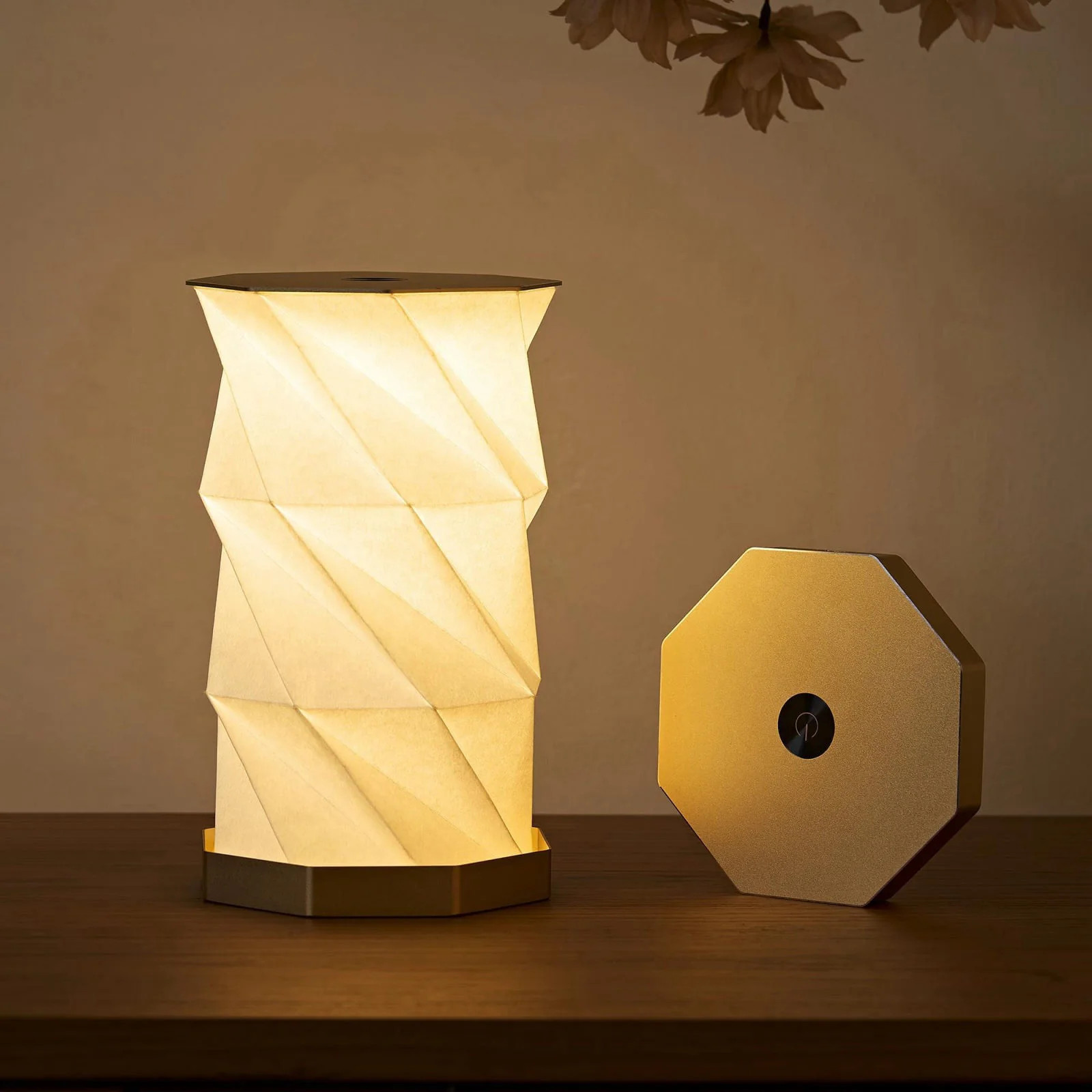 Portable Desk Lamp